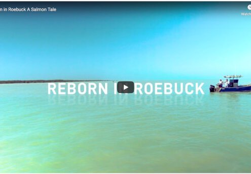 reborn in roebuck recfishwest
